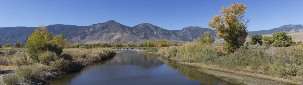 Carson Valley Fall Color